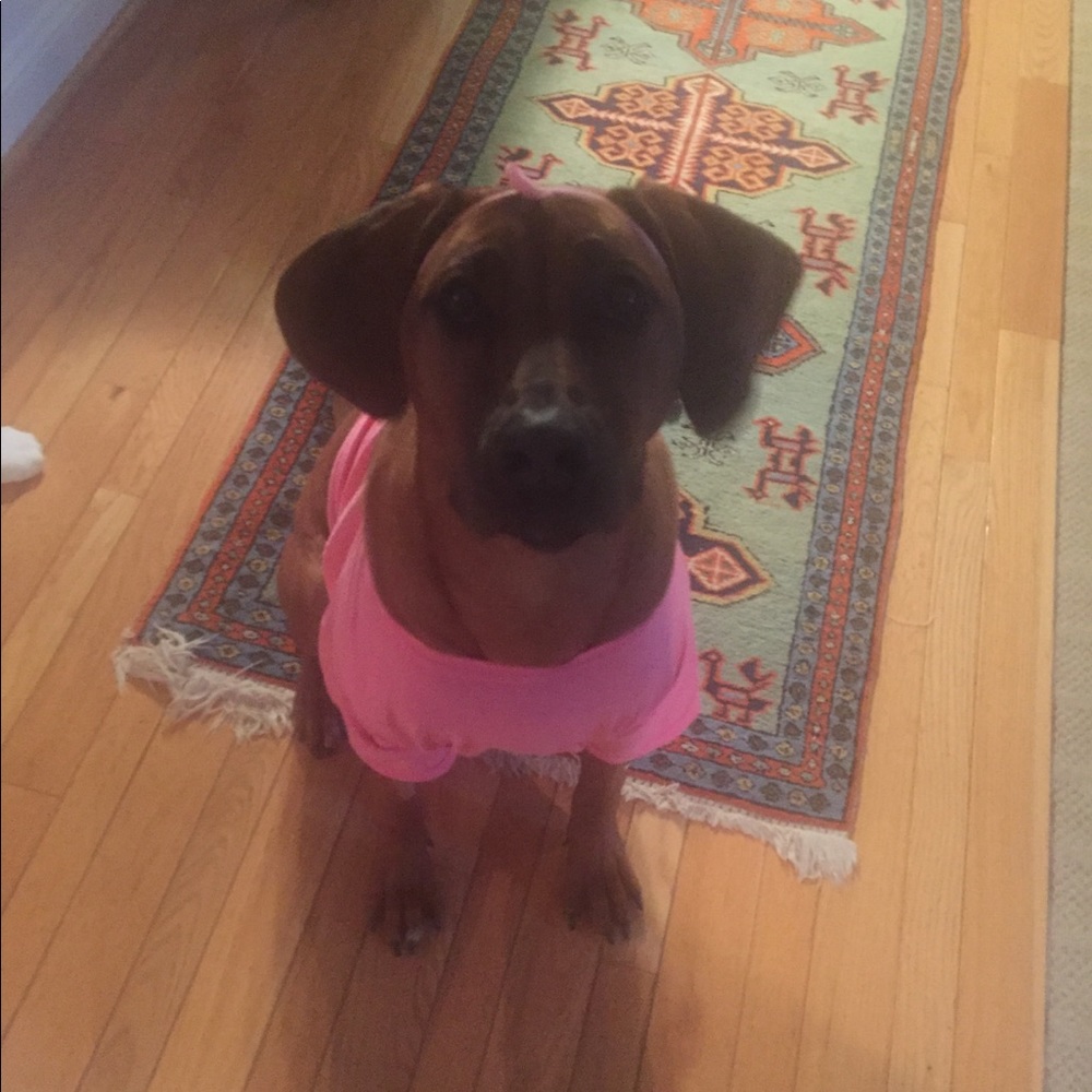 Meet your Posher, Joanne